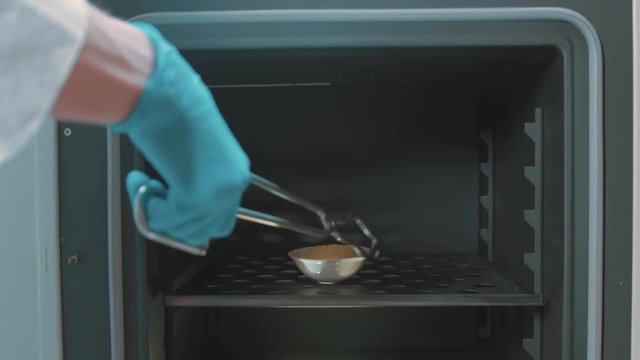 Scientist in blue rubber glove white robe put laboratory evaporating dish with yellow sand into little furnace using forceps