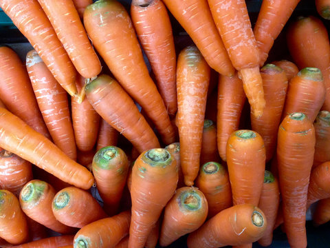 many fresh carots for a background texture