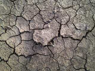 Crack soil on dry season