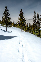 snow trek 3