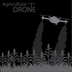 Obraz na płótnie Canvas drone flight over agricultural