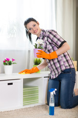 Young woman doing cleaning
