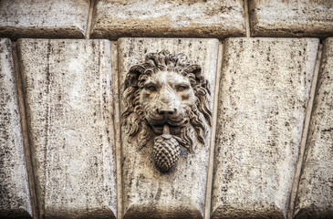 Stone lion head in Rome, Italy
