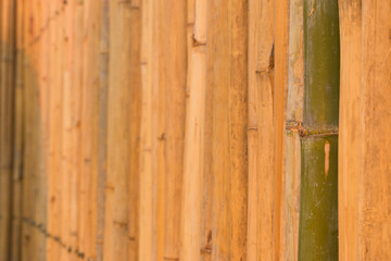 Wall made of bamboo in Thailand
