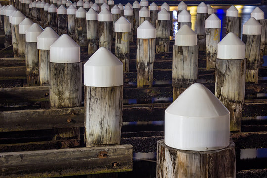 Pillons in Melbournes Wharf