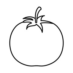 tomato vegetable icon over white background. vector illustration