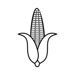 corn vegetable icon over white background. vector illustration