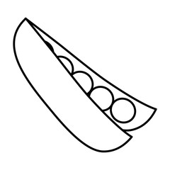 peas vegetable icon over white background. vector illustration
