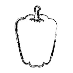 pepper vegetable icon over white background. vector illustration