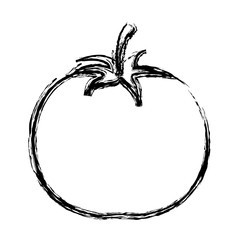 tomato vegetable icon over white background. vector illustration