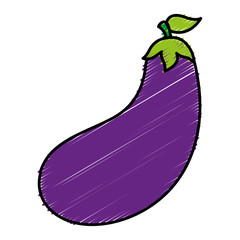 eggplant vegetable icon over white background. colorful design. vector illustration