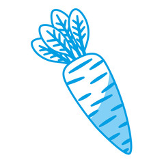 carrot vegetable icon over white background. vector illustration
