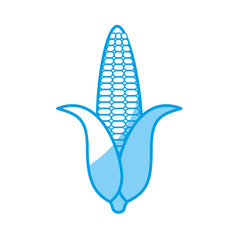 corn vegetable icon over white background. vector illustration