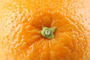 close up on fresh orange background