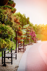 botanical views in the garden