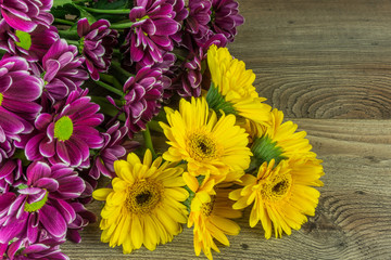 Colored gerbera flowers on a rustic wooden table as a background