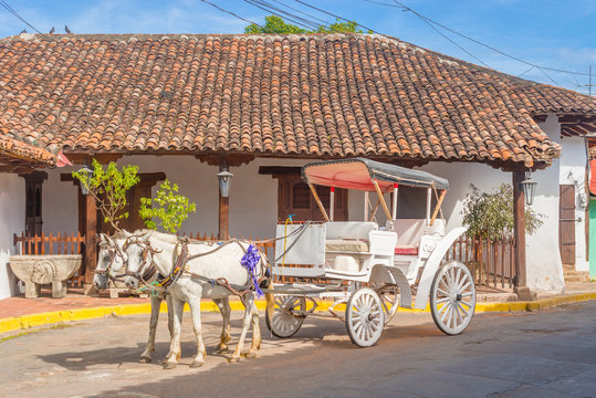 Horse carriage at the street in Granada, Nicaragua