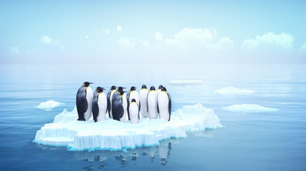 penguins - obrazy, fototapety, plakaty