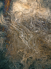 abstract organic shapes