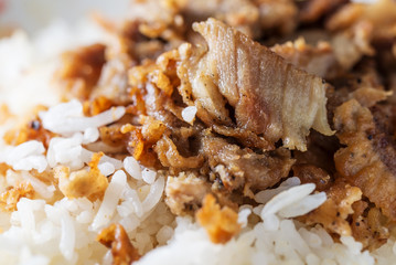 Rice with fried pork close up