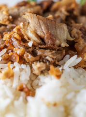 Rice with fried pork close up