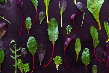 baby salad leaves