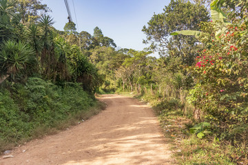 Dirt road in the mountains, Honduras