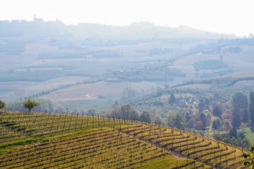 Landscape of Langhe