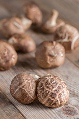 Shiitake mushroom on wooden table.