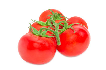 Branch of the ripe red tomatoes closeup