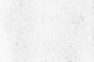 White Grunge Wall Background.