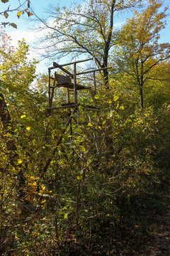 indian summer landscape