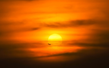 wild shot of silhouette Airplane with sunset in background