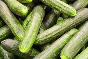 green, cucumbers, on shelf, supermarket