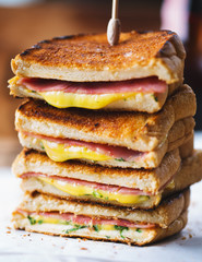 tasty panini ham cheese sandwich
