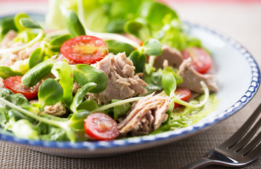 tuna salad with sunflower sprout,tomato lettucefor healthy meal