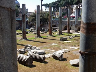 Roma - Colonne della Basilica Ulpia