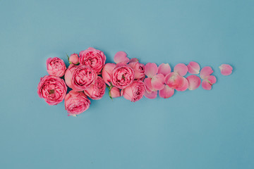 Pattern of pink roses on a blue background