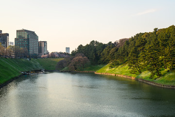 皇居周辺の風景２