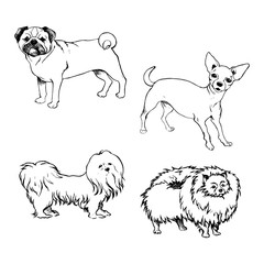 Sketch of set dogs for design