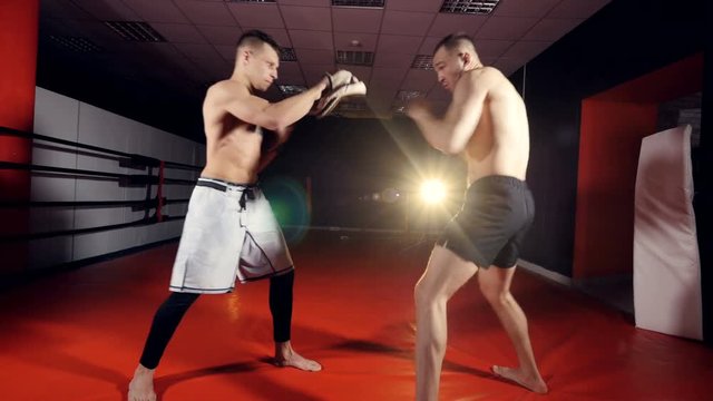 The boxer's training, punching sparring partner at MMA fighting club. 4K.