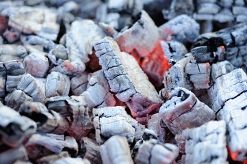 Glowing Hot Embers Close-up