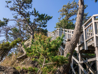 西伊豆黄金崎の風景