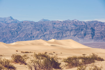 Fototapeta na wymiar Sand dunes in the Death Valley National Park, California