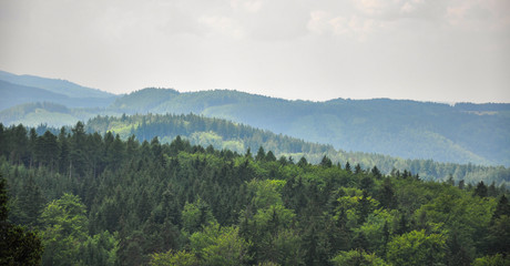 Panoramic view of the forest in Karlovy Vary, Czech Republic