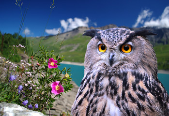 lac du mont cenis - haute maurienne