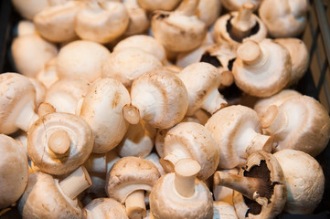 Mushrooms in shop