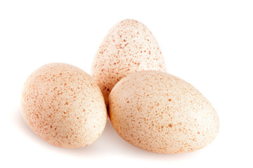 three turkey eggs isolated on white background close-up