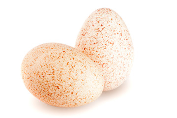 two turkey eggs isolated on white background close-up