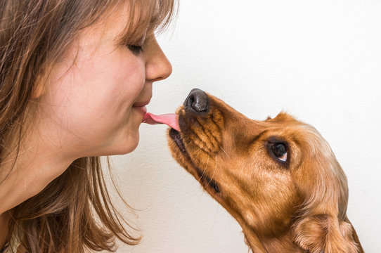 Cute Dog Licking Face Of Woman